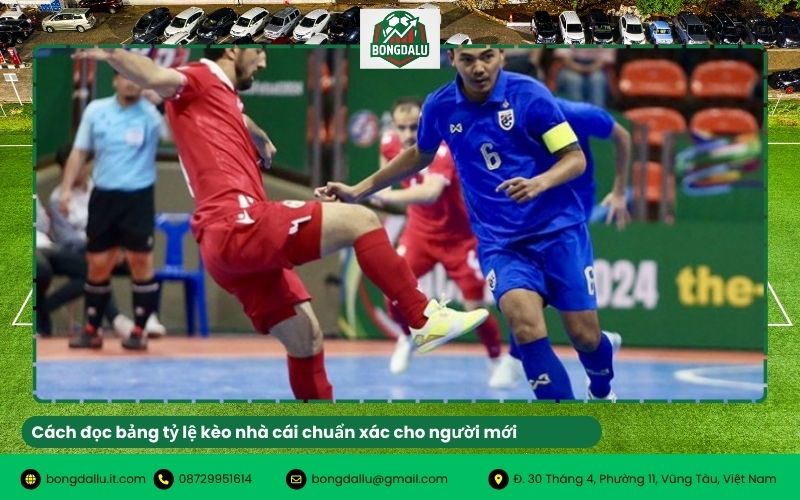 Cách đọc bảng tỷ lệ kèo nhà cái chuẩn xác cho người mới