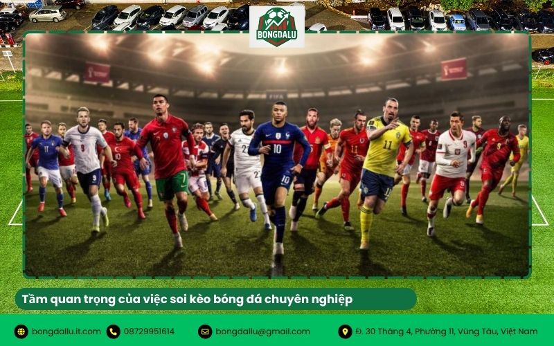 Tầm quan trọng của việc soi kèo bóng đá chuyên nghiệp