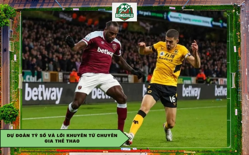 Dự đoán tỷ số và lời khuyên từ chuyên gia thể thao