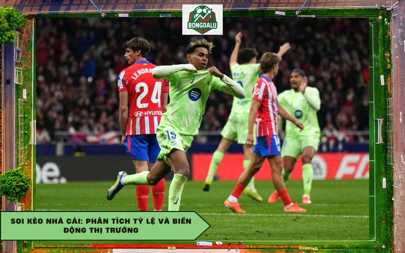 Soi kèo nhà cái: Phân tích tỷ lệ và biến động thị trường